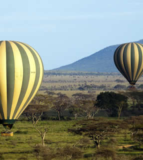 6 days northern grasslands